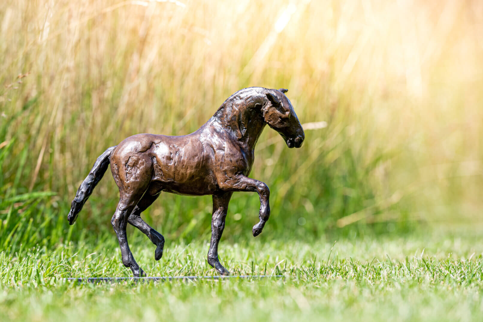 Paard beeld Andalusiër brons Don J.