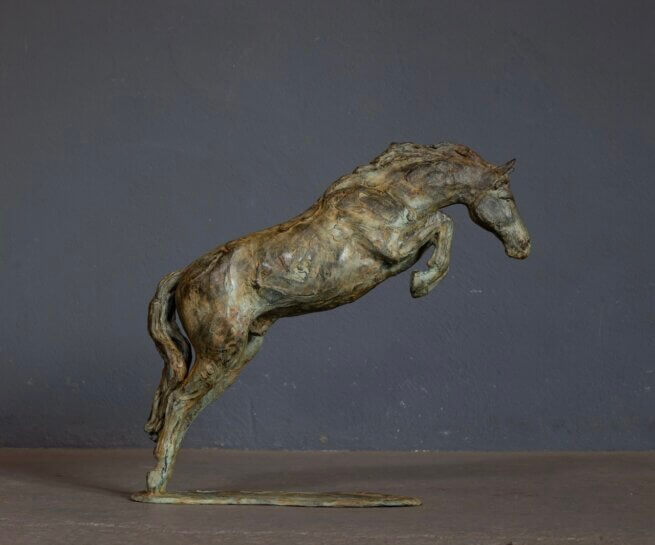 Beelden paarden springpaard