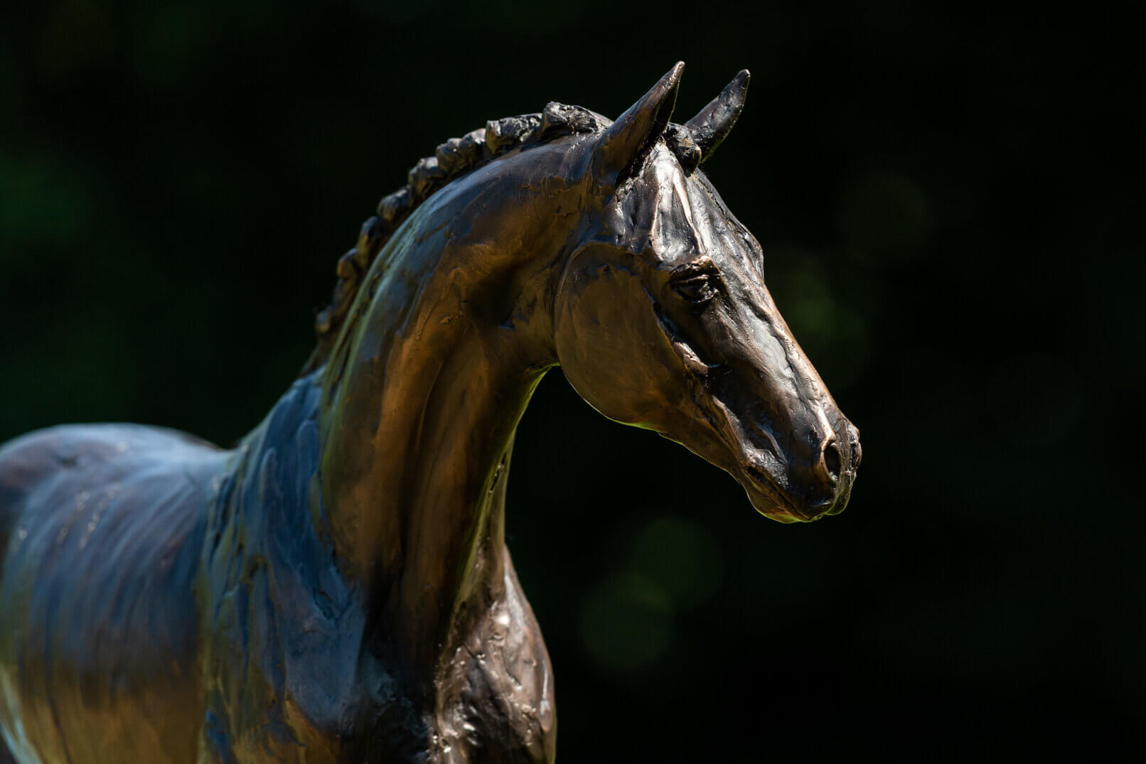 Horse sculpture bronze detail head Chiana