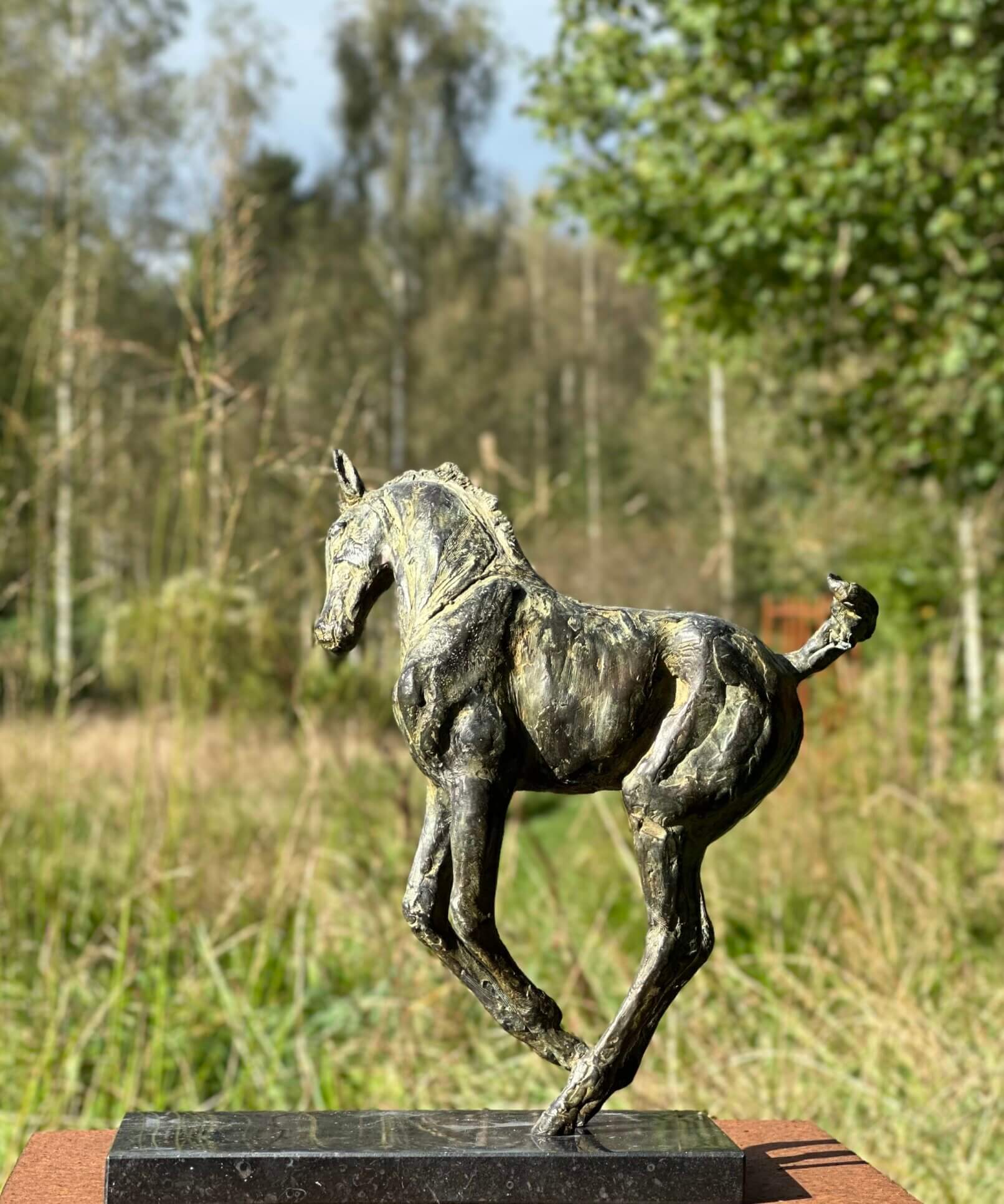 Equestrian bronze sculpture Didi foal