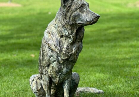 Dog staue German Shephard bronze
