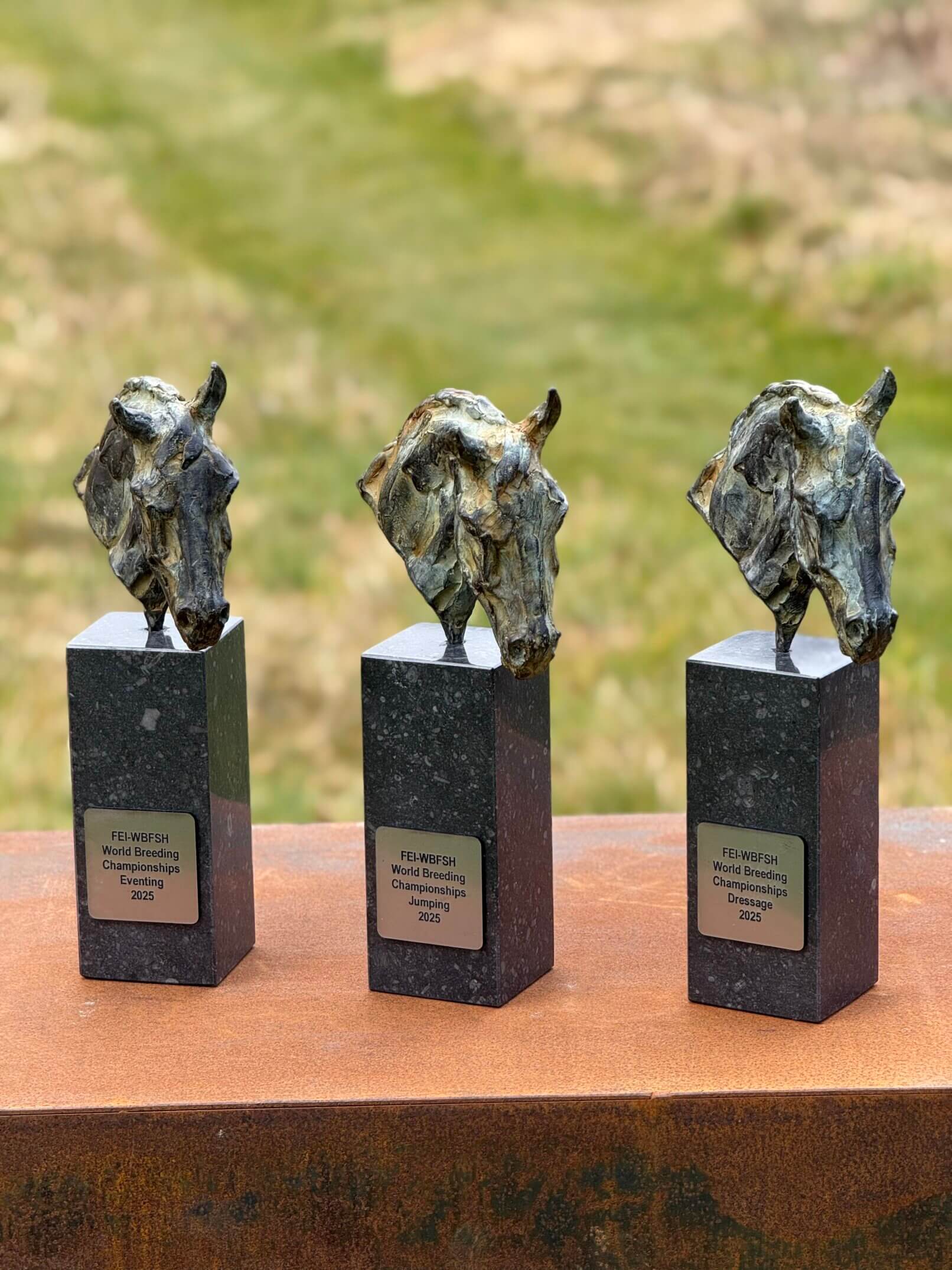 Horse head FEI WBFSH