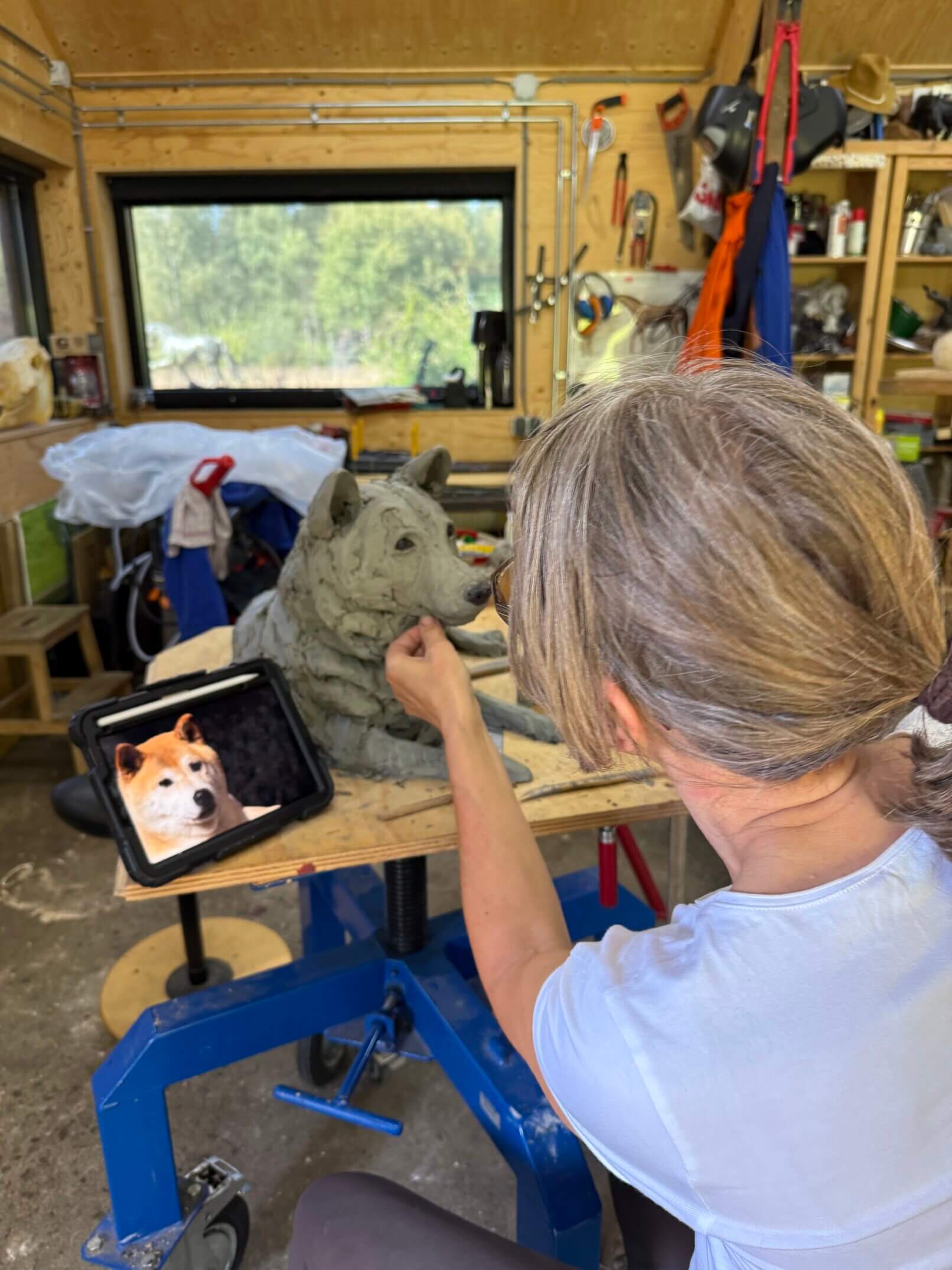 Shiba Inu Bronze in progress