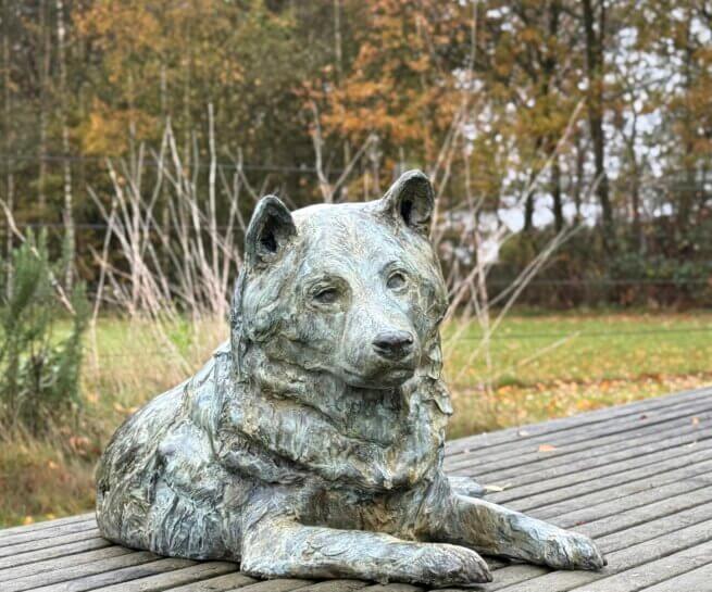 Dog statue Shiba Inu in bronze Lying down - www.brigitteboss.com